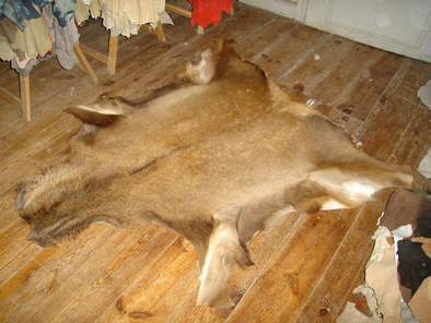 peau de cerf