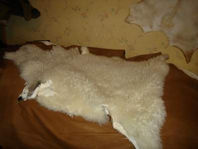 peau de mouton blanc