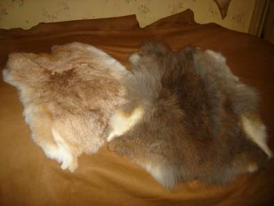 peaux de lapins