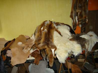 Diverses peaux fourrure: lapin, mouton, renard