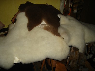 peaux de moutons